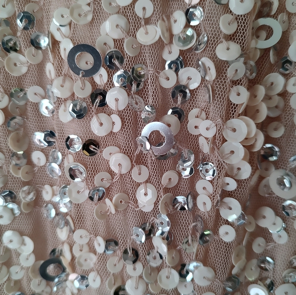 Adrianna Papell Formal Sequin Dress Sz 2 Champagne Beige Train - Picture 7 of 11